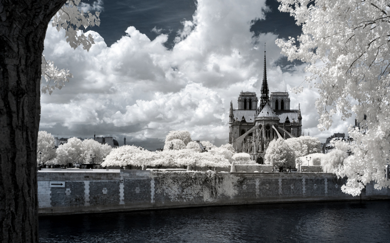 Kathedrale Notre-Dame de Paris