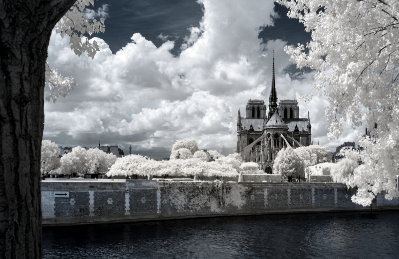 Kathedrale Notre-Dame de Paris -I-