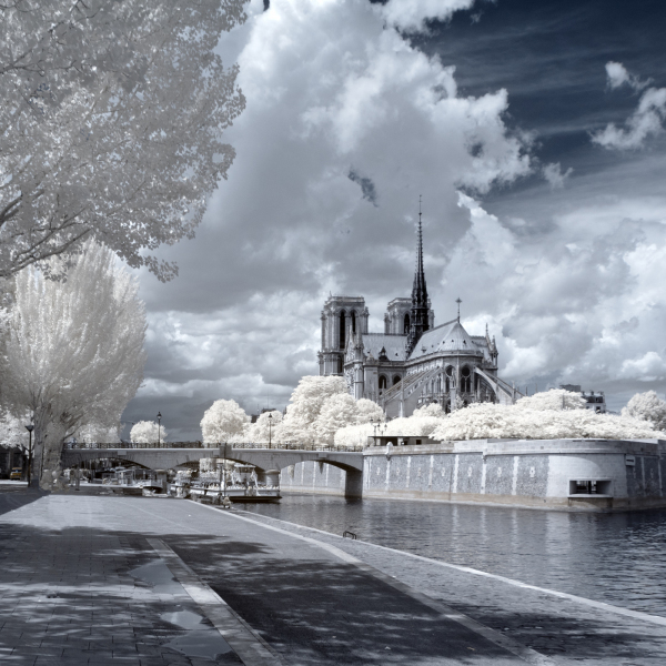 Kathedrale Notre-Dame de Paris