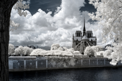 Kathedrale Notre-Dame de Paris