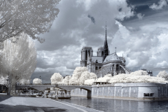 Kathedrale Notre-Dame de Paris -I