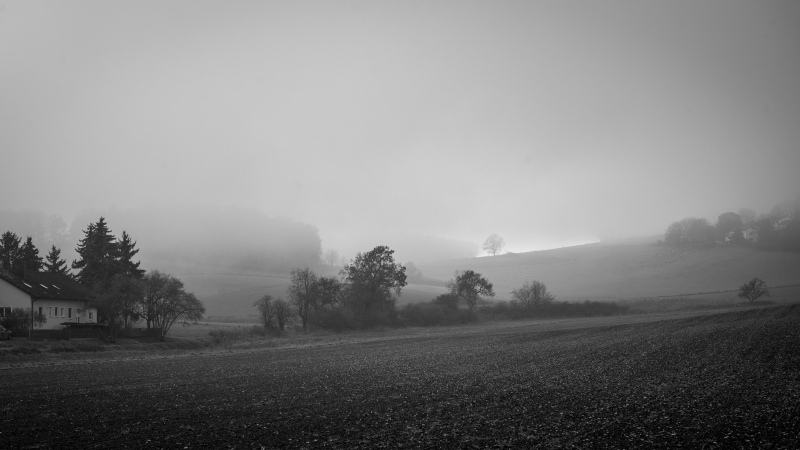 Adlersberg im Nebel