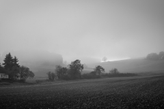 Adlersberg im Nebel